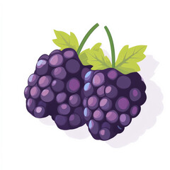 Flat design of fresh marionberries, featuring bold colors and simple lines, on a white background.