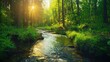 © kampret 99 - Sunlit Stream Through Forest