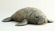 © fourtakig - 3D gentle cartoon manatee resting and relaxing on a white background