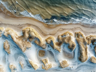 Wall Mural - A beach with a rocky shoreline and a body of water. The beach is covered in tall grasses, and the water is choppy