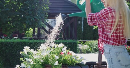 Wall Mural - Attractive caucasian woman in casual wear watering flowers at garden with watering can. Charming blonde gardener taking care of backyard plants. 