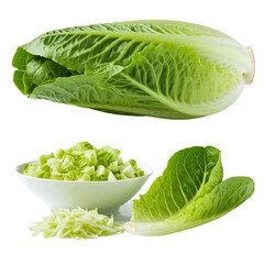 Wall Mural - fresh green cabbage  isolated on transparent background png