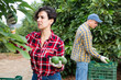 © JackF - Delighted farmers collecting avocados among green leafy avocado trees in a fruit garden