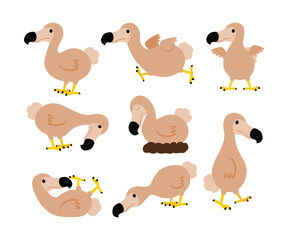 Wall Mural - set of extinct dodo bird cartoon collection, raphus cucullatus illustration, wildlife fauna conserva