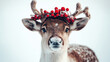 © M.Gierczyk - Holiday Reindeer Isolated on White Background