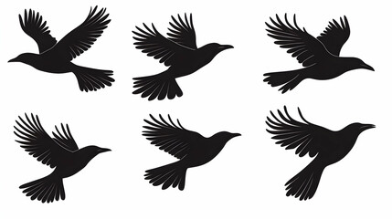 Black silhouettes of flying birds isolated on white background.