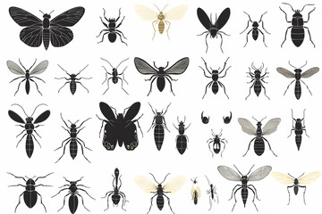 Collection of insect silhouettes in black, isolated on white background.