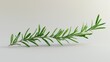 © Jakkarin - Fresh Rosemary Sprig 3D Render on White Background