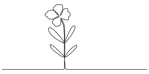 Trollius or globe flower in continuous line art drawing style. Minimalist black linear sketch isolated on white background. Vector illustration, Flower drawing mono line. Continuous line icon on white