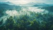 © Alpha - Aerial shot of a dense jungle with vibrant green treetops shrouded in morning fog, highlighting the beauty of nature. selective focus - Sustainability theme - surreal - Overlay - Mountains