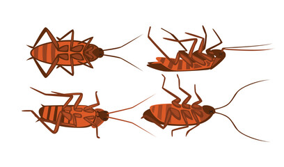 Wall Mural - set of dead cockroach collection, dying cockroach cartoon, corpse of insect or pest bug, poaching an