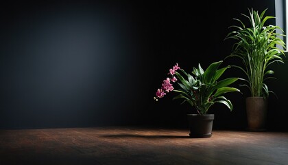 A black vase holds a green plant Table near black wall White flower on wall 70