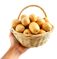 Hand holding a Basket with fresh potatoes on Isolated transparent background png. generated with AI