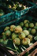 © Larisa - Fresh guavas in crates at a market, vibrant and ripe