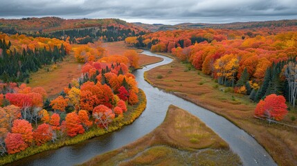 Canvas Print - Aerial View of a Winding River Through Autumn Forest