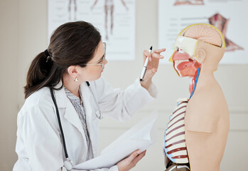 Canvas Print - Woman, doctor and mannequin with test for anatomy, studying or learning human system at hospital. Female person, medical employee or student with dummy, model or prototype for examination or exam