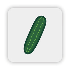 cucumber icon on button, cucumber Flat Illustration, Vector cucumber vegetable