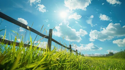 Poster - Green meadow with tall grass and wooden fence bright sky with fluffy white clouds