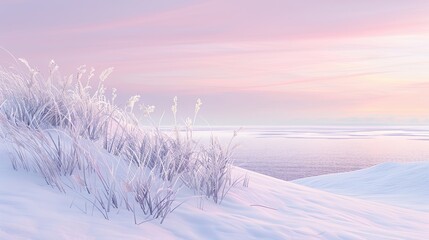 Winter beach with snowy dunes frosty grass and icy ocean reflecting pink sunset