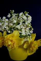 flower arrangement of yellow daffodils and white Arabis Caucasica in a yellow cup on a black background