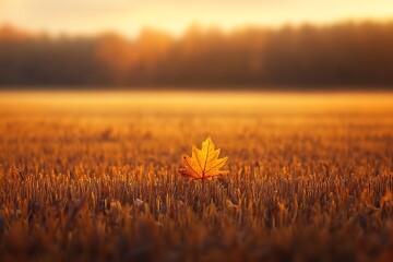 Wall Mural - A single golden leaf stands out against a field of fallen leaves with a warm, hazy sunrise in the background.