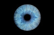 © recep - Close up of eye iris on black background, macro, photography