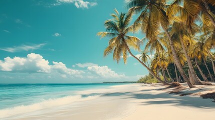 A tropical beach in summer with palm trees leaning towards the ocean, soft waves gently caressing the sand, hyper-real, high-quality, sharp images, graphic, illustration