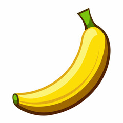 Wall Mural - banana vector illustration 