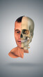 © Cinefootage Visuals - Half skull and face anatomy medical concept