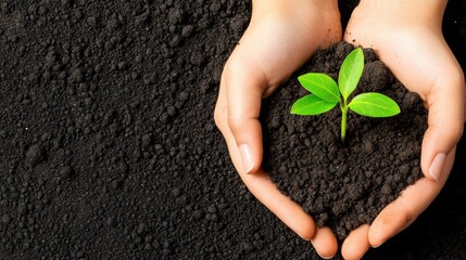 A person holding a small plant in their hands with dirt on top, AI