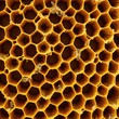 © Tilak - Honeycomb pattern, Natural Honeycomb Structure with Worker Bees, close-up of honeycomb