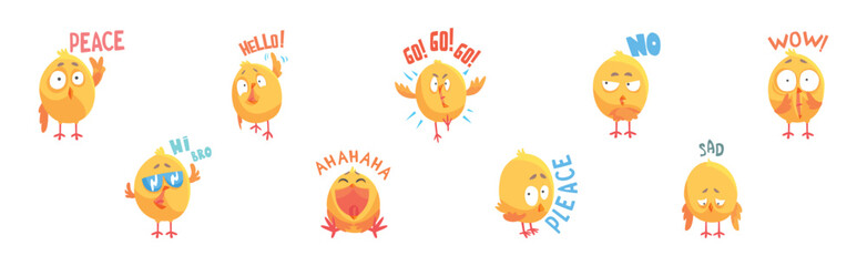 Sticker - Baby Chick Say Word with Emotion and Inscription Vector Set