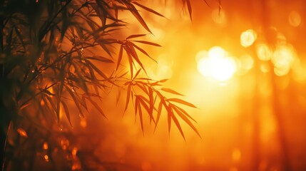 Beautiful golden sunlight filtering through bamboo leaves in a tranquil forest, representing nature, serenity, and the peaceful beauty of the natural world.