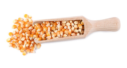 Poster - Fresh corn kernels in wooden scoop isolated on white, top view