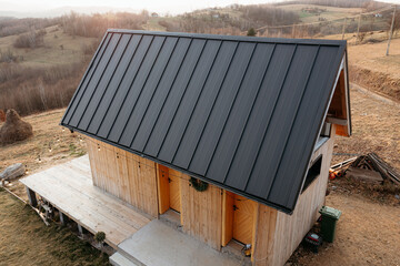 Modern cabin with metal roof nestled in countryside