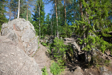 Wall Mural - Russia Karelia landscape on a cloudy summer day