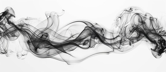 Wall Mural - Abstract Smoke Background Black Smoke Color On White Background Black Ink On White Background