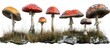 © The 2R Artificiality - Mushroom Background Unit Isolate