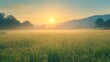© Koplexs-Stock - A Misty Meadow at Sunrise with a Silhouetted Mountain Range in the Distance
