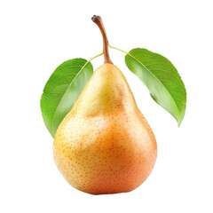 Ripe yellow pear with two leaves growing, isolated on a white background