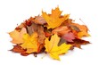 © Fotograf - A stack of vibrant autumn leaves against a clean white background