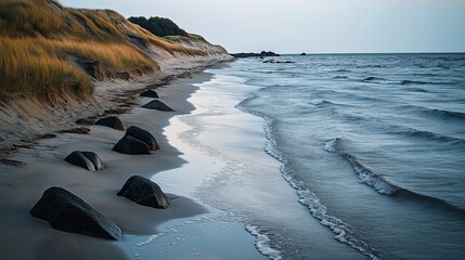 Canvas Print - Serene coastal scene with a sandy beach, large rocks embedded in the sand, and gentle waves lapping against the shore. Tall grass-covered dunes line one side of the beach.