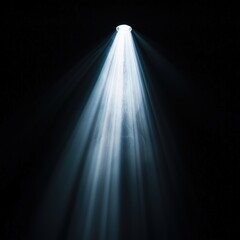 Wall Mural - Spotlight in the dark