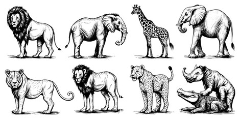 Poster - Animal sketch. African wild savanna fauna. Lion, elephant, leopard, and crocodile isolated on a white background. Animal wild, fauna and savanna, zebra mammal and crocodile.