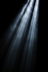 Canvas Print - Light beams in dark