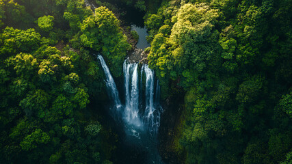 Wall Mural - aerial view of a waterfall in forest, waterfall in the jungle, tropical landscape in the jungl