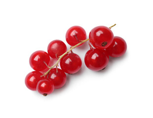 Canvas Print - Fresh ripe red currant berries isolated on white