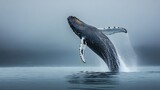 humpback whale breaching in the ocean with a powerful splash creating an awe-inspiring scene in the natural marine environment
