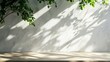 © Adi - Spring sunlight in green branch of tree with shadow on white marble tile wall, wood table, copy space