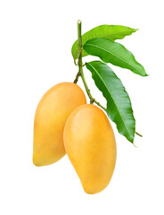 Wall Mural - ripe mango with green leaf isolated on white background. clipping path.